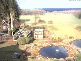 Preview webcam image Schneverdingen - The Höpencam