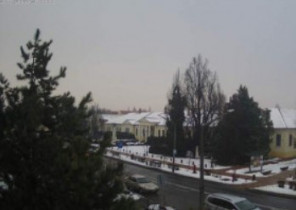 Preview webcam image Szarvas