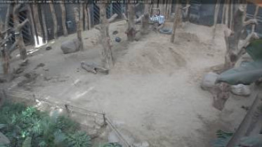 Immagine di anteprima della webcam Amersfoort- ZOO