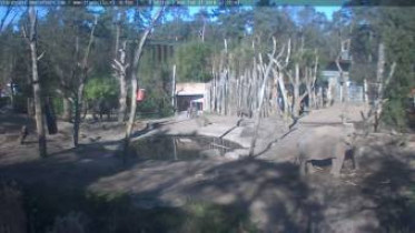 Immagine di anteprima della webcam Amersfoort - ZOO 2