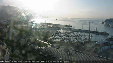 Immagine di anteprima della webcam Funchal - port