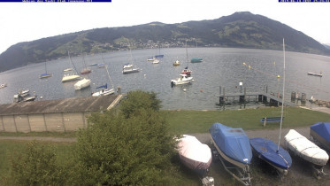 Náhledový obrázek webkamery Immensee - Zugské jezero