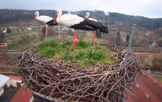 Image d'aperçu de la webcam Storks Bohuslavice