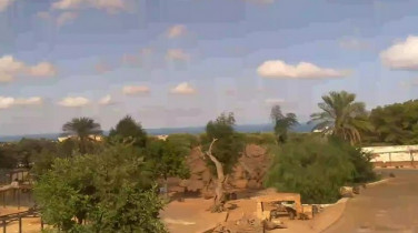 Immagine di anteprima della webcam Zoosafari - Fasano - The village of the Apes