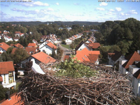 Image d'aperçu de la webcam Bad Waldsee