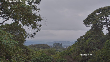 Preview webcam image Ngong Hills