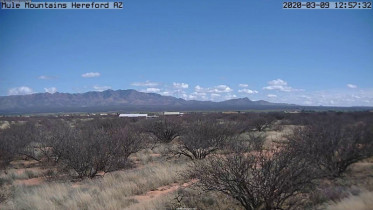 Preview webcam image Hereford - Mule Mountains