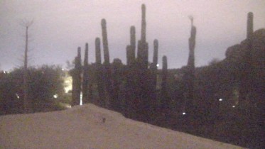 Náhledový obrázek webkamery Phoenix - botanická zahrada