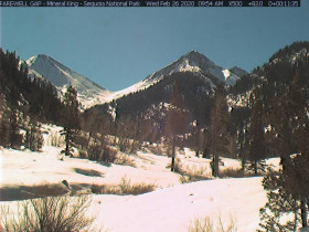 Immagine di anteprima della webcam Mineral King - Timber Gap