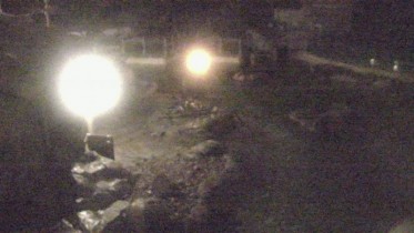 Preview webcam image Baltimore Zoo