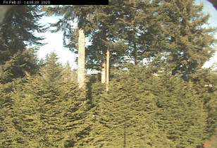 Preview webcam image Camano Island