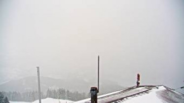 Image d'aperçu de la webcam Fieberbrunn - Mittelstation Streuböden