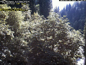 Preview webcam image Riezlern - Restaurant Waldhaus