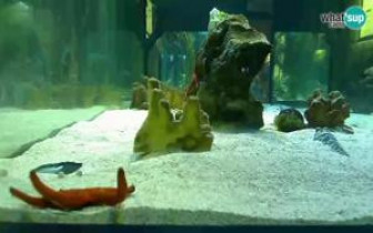 Preview webcam image Pula - Aquarium Pula - Fort Verudela