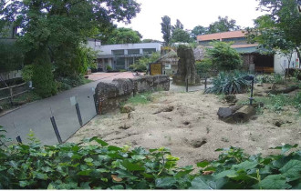 Image d'aperçu de la webcam Zagreb Zoo