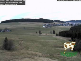 Immagine di anteprima della webcam Breitnau - Eckerhof